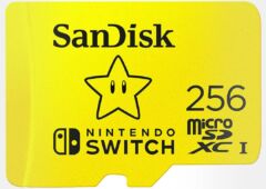 carte SanDisk 256 Go pour Nintendo Switch