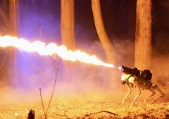 chien lance flammes