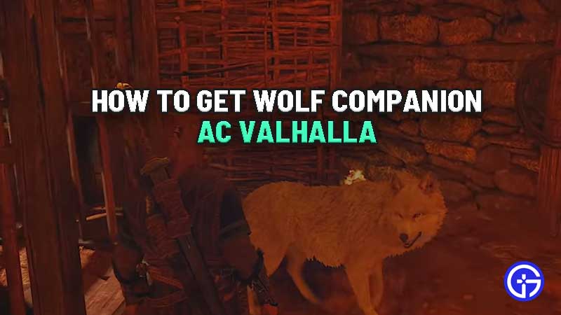 how-to-get-wolf-companion-ac-valhalla
