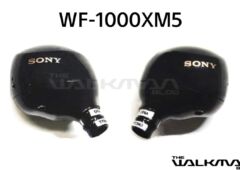 sony wf1000xm5n