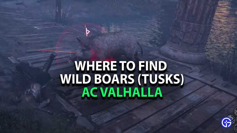 where-to-find-wild-boars-ac-valhalla